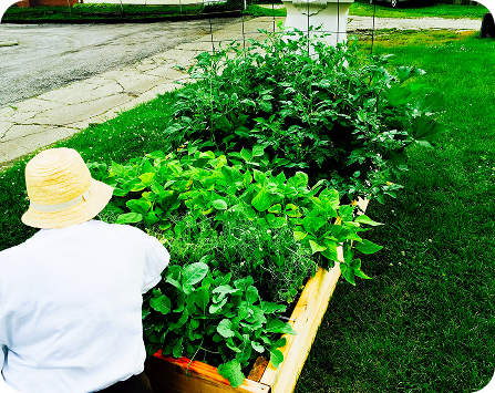 Christ's Indianapolis, Garden